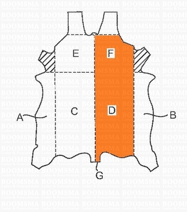 Belts/strips of veg-tanned leather sides natural - pict. 3