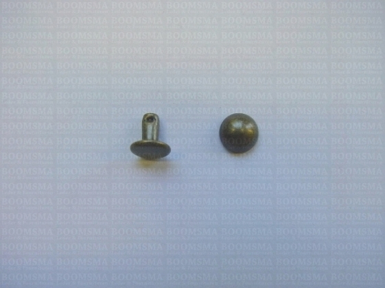 Rivets: Domed rivet antique brass plated - pict. 6