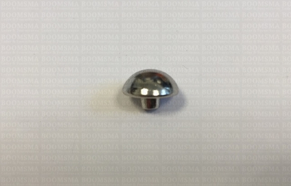 Rivets: Domed rivet silver coloured - pict. 5