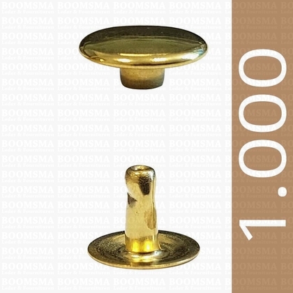 Rivets: Rivets 36 Single cap gold 36/8 per 1.000 - pict. 1