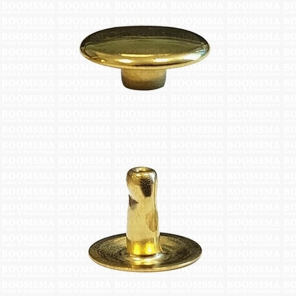 Rivets: Rivets 36 Single cap gold 36/8 per 100 - pict. 1