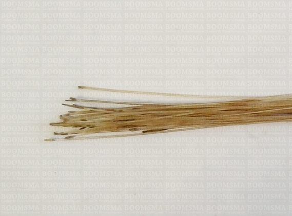 Pighair bristle (Authentic) - pict. 2