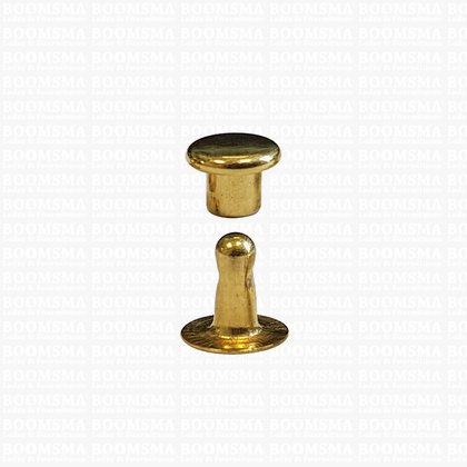 Rivets: Rivet 00 single cap gold 00 per 100 - pict. 1