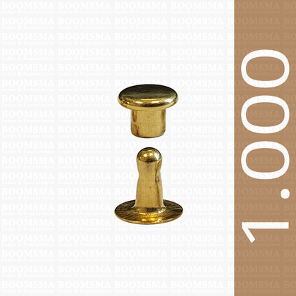 Rivets: Rivet 00 single cap gold 00 per 1.000 - pict. 1