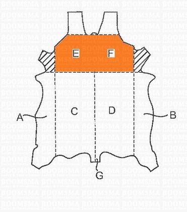 Veg tanned leather 2nd choice - pict. 2